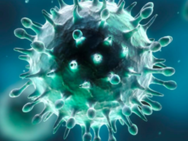 Coronavirus: avviso agli assistiti