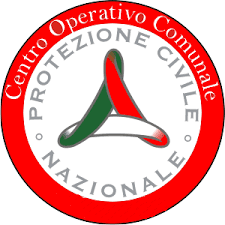 Istituzione Centro Operativo Comunale - C.o.c